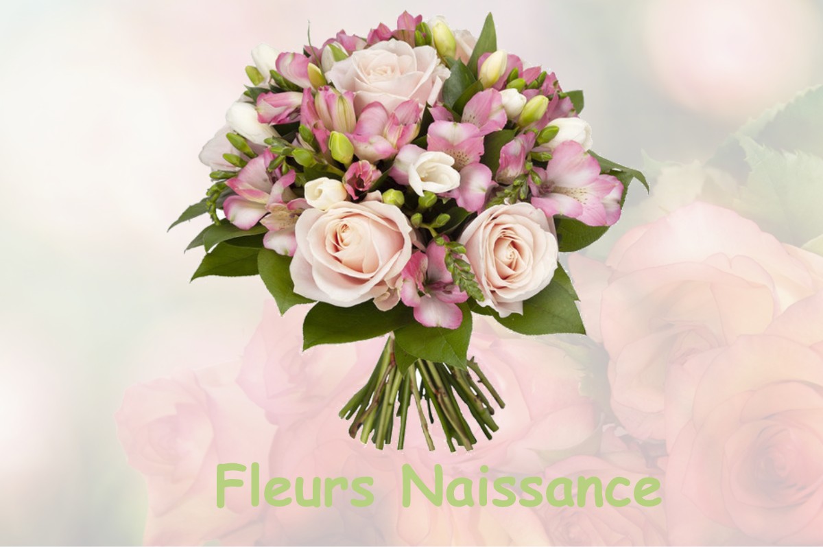 fleurs naissance JARDIN