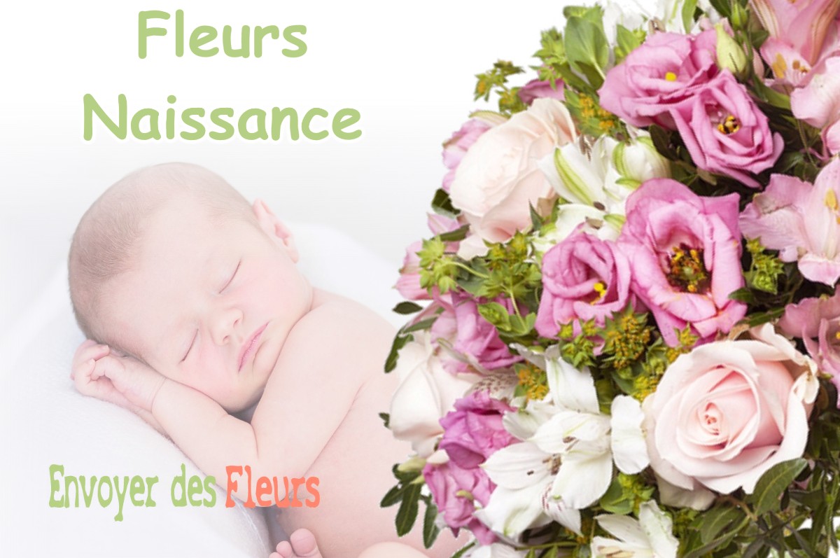 lIVRAISON FLEURS NAISSANCE à JARDIN